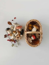 Artisan Mushroom Toys Image 4