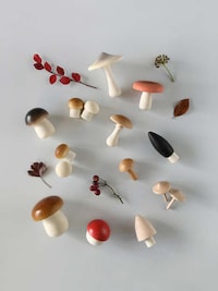 Artisan Mushroom Toys Image 5
