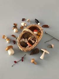 Artisan Mushroom Toys Image 6