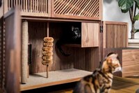 Cat-Friendly Wooden Cabinets Image 6