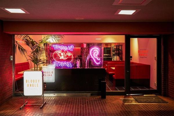 Vinyl Cafe-Bar Hybrids