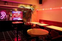 Vinyl Cafe-Bar Hybrids Image 7