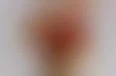 Romantic Chocolate Bar Pairings