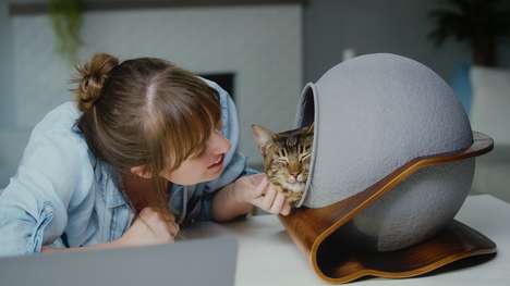 Orb-Shaped Cat Beds