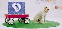 Functional Liquid Pet Treats Image 4