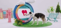 Functional Liquid Pet Treats Image 6