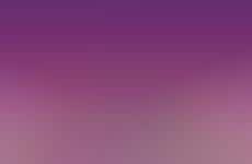 Creative Storytelling Collectibles