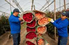 Positive Impact Bouquets