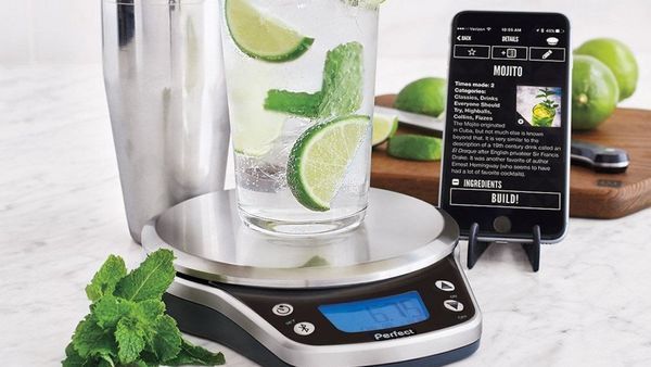 Perfect Drink PRO Smart Scale Silver PDP017 - Best Buy