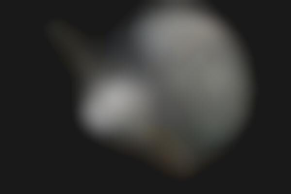 Joint Moon Orbit Launches