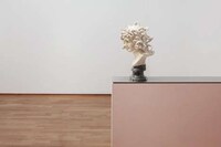 Recyclable Baroque Displays Image 2