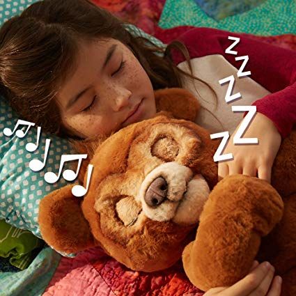 Interactive Plush Bear Toys