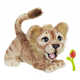 Playful Lion Plush Toys Image 1