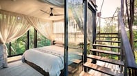 Spacious South African Treehouses Image 2