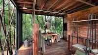 Spacious South African Treehouses Image 4