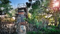 Spacious South African Treehouses Image 7