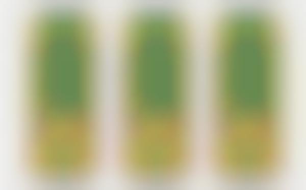 Refreshing Fruit-Forward Radlers