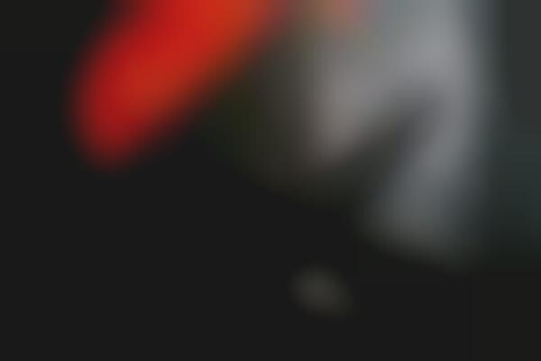 Local Music Promotion Partnerships