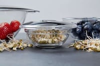 Food Waste-Preventing Storage Lids Image 6