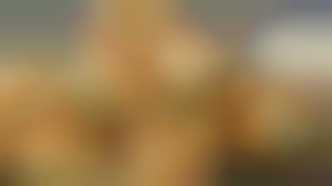 Jalape&ntilde;o-Studded Roll Ups