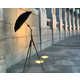 Collapsible Pro-Grade Photography Lights Image 3