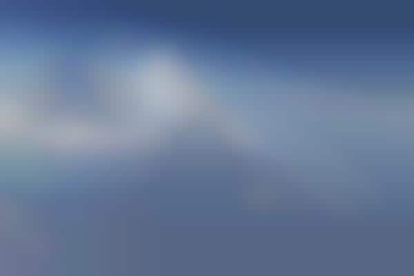 Fully-Carbon-Neutral Flight Tests