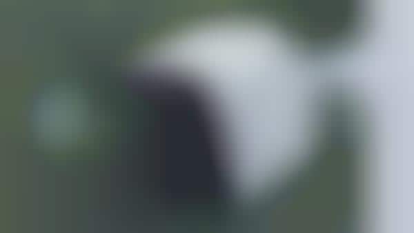 Wireless Weatherproof Security Cameras