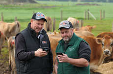 Helpful Bull-Breeding Apps