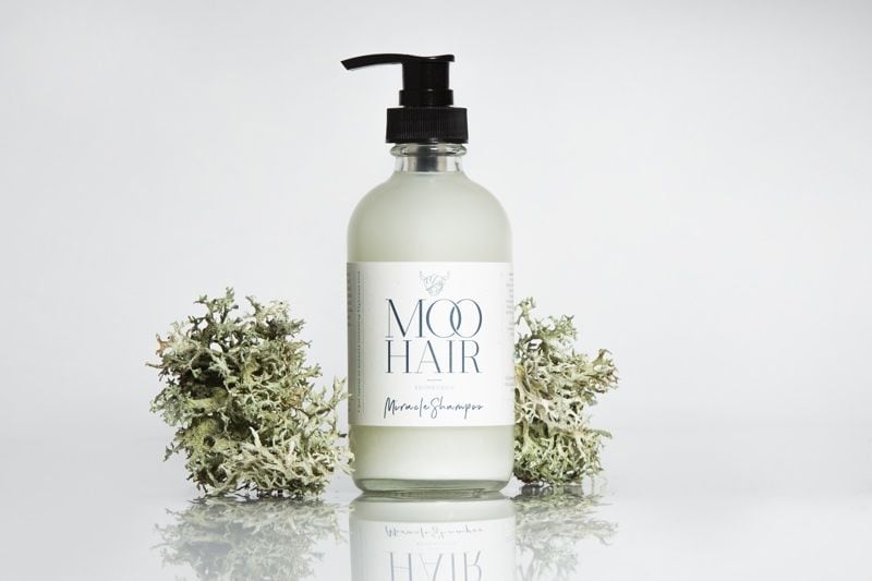 Icelandic Moss-Infused Hair Products