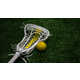 Free Indigenous-Focused Lacrosse Camps Image 1