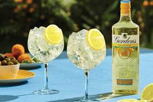 Citrusy Mediterranean-Inspired Gins