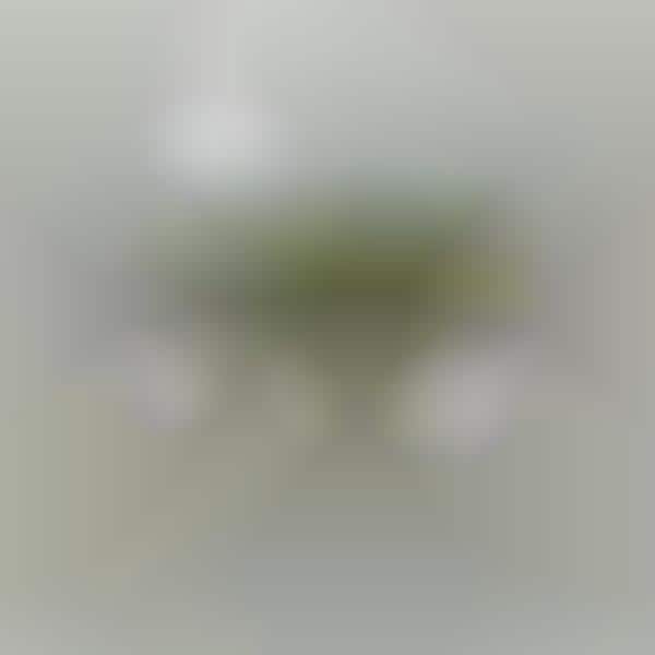 Greenery-Integrated Tables