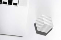 Symmetrically Striking Mouses Image 5