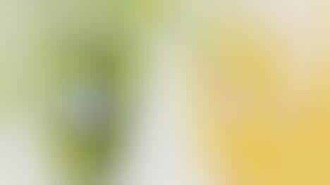 Colorful Coconut Milk Beverages