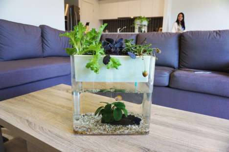 Plant-Infused Fish Tanks