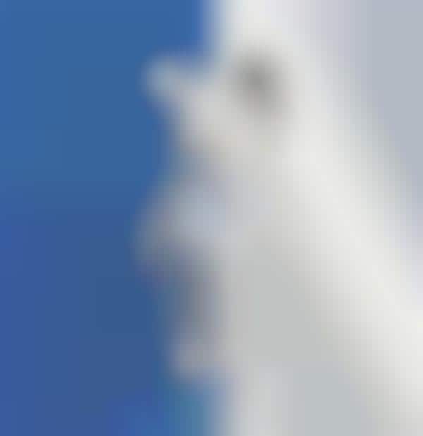 Exclusive Conservation-Themed Figurines
