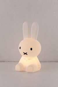 Animal Character Lights Image 2