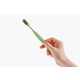 Replaceable Bristle Toothbrushes Image 6