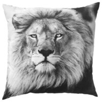 Photographic Bedding Collections Image 5