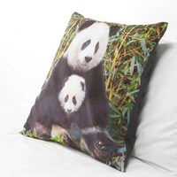 Photographic Bedding Collections Image 8