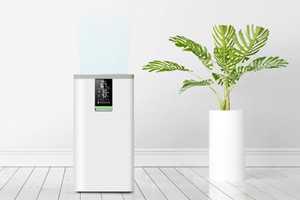 Smart Home Air Purifiers
