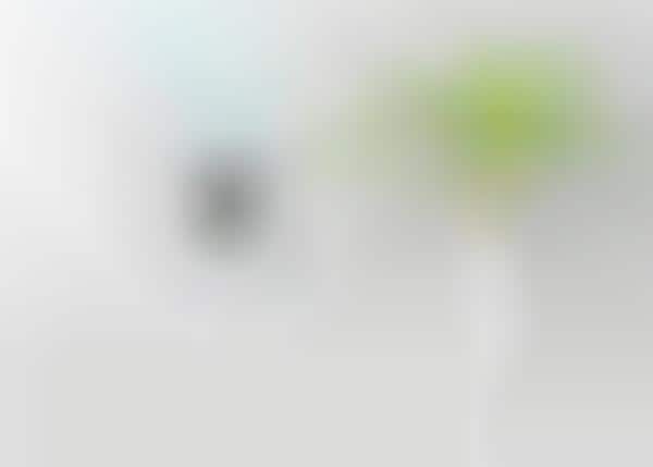 Smart Home Air Purifiers