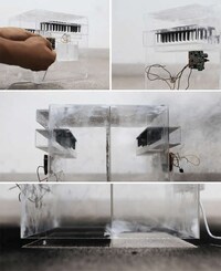 Urban Greenhouse Air Purifiers Image 5