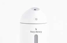 Portable Facial Humidifiers