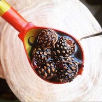 Handcrafted Pine Cone Jams Image 5