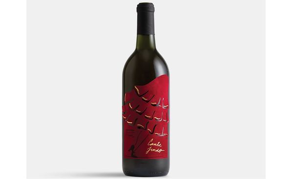 17 Wine Packaging Innovations