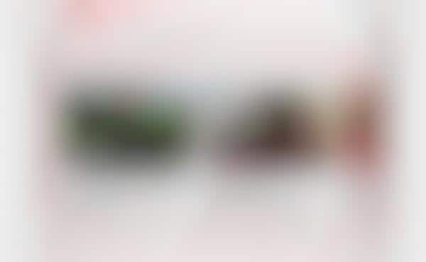 Video Platform SD Content