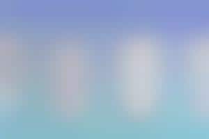 what is the best free workout app for seniors?