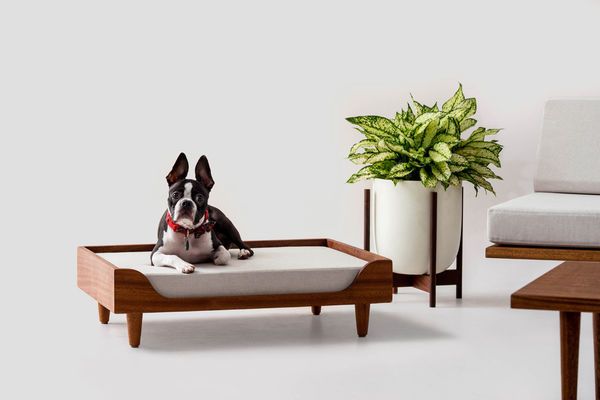 Ultra Slick Modern Pet Beds modern pet bed