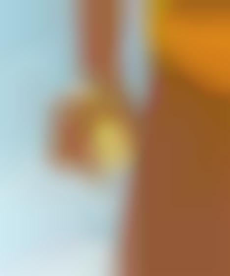 Iconic Summery Fragrances